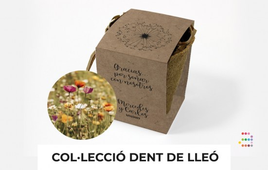 Boda_Dent_de_Lleo_maceta CAT
